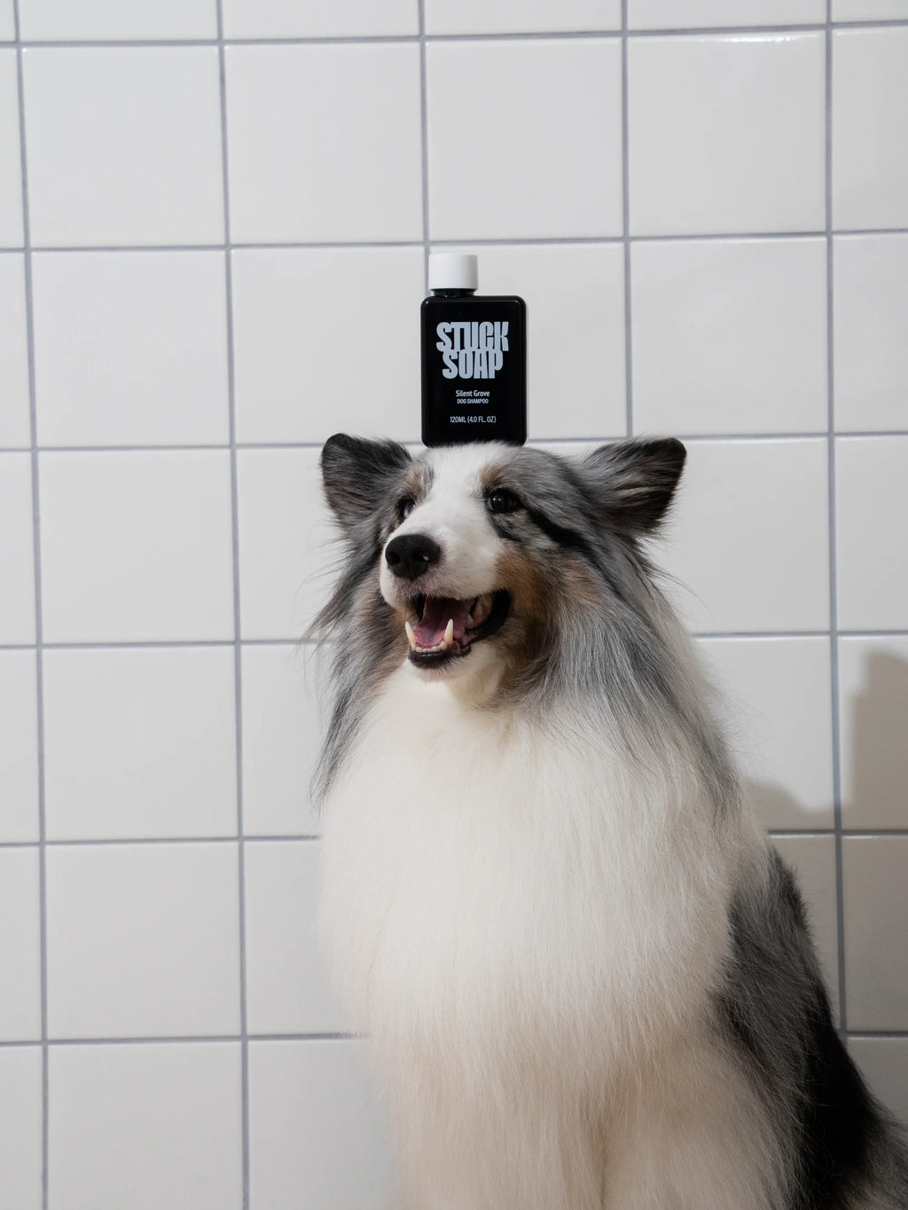 STUCK SOAP Silent Grove Dog Shampoo - 120 ml