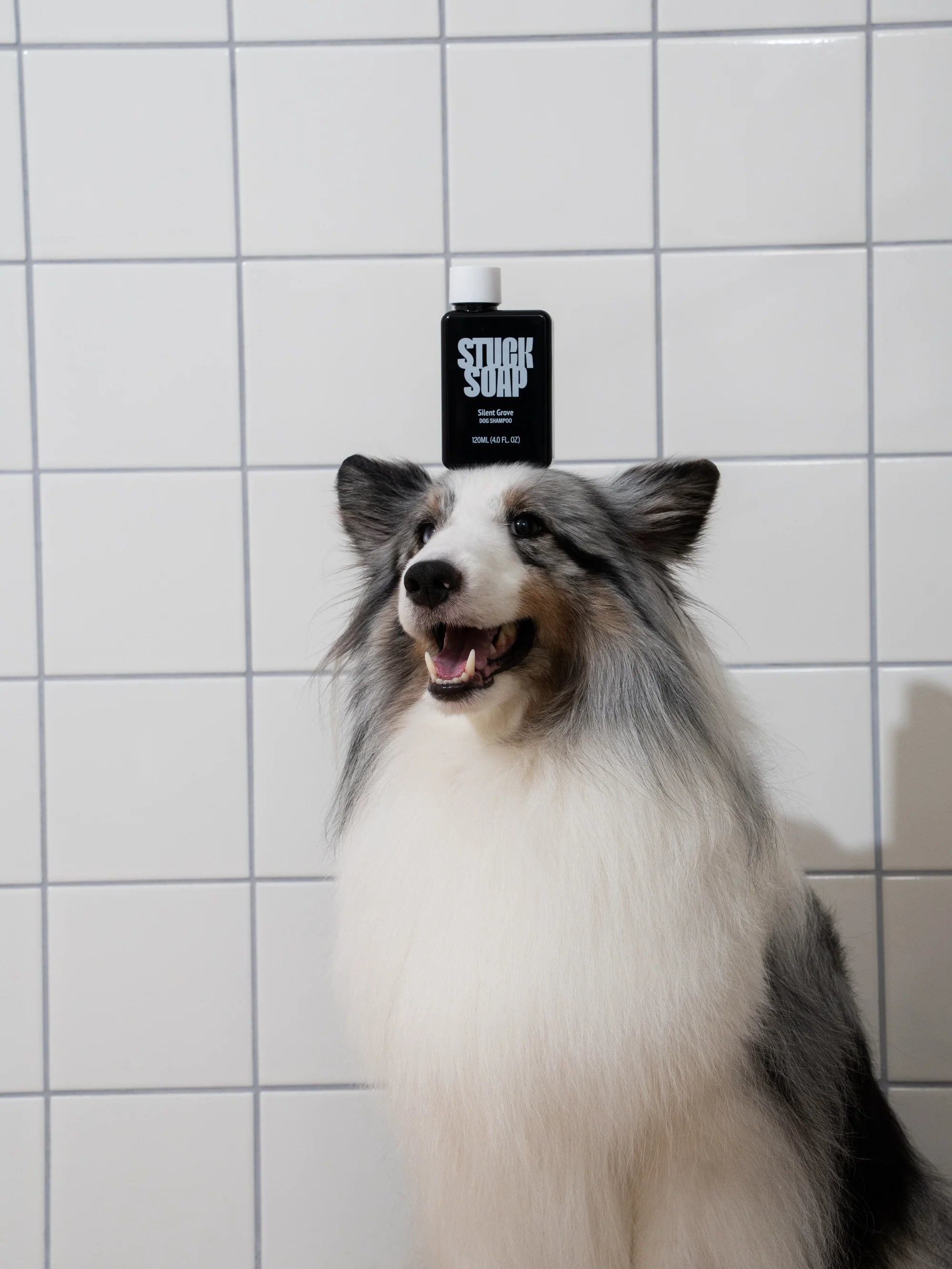 STUCK SOAP Silent Grove Dog Shampoo - 120 ml