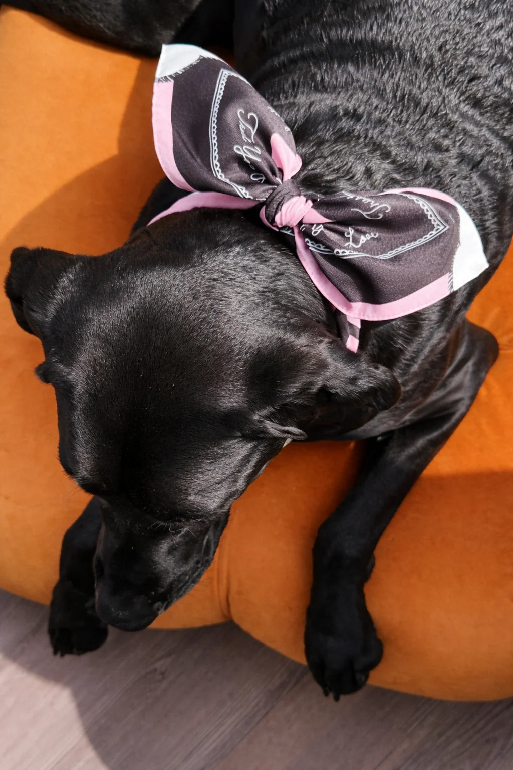 Stuck Soap Signature Scarf - Vintage Pink