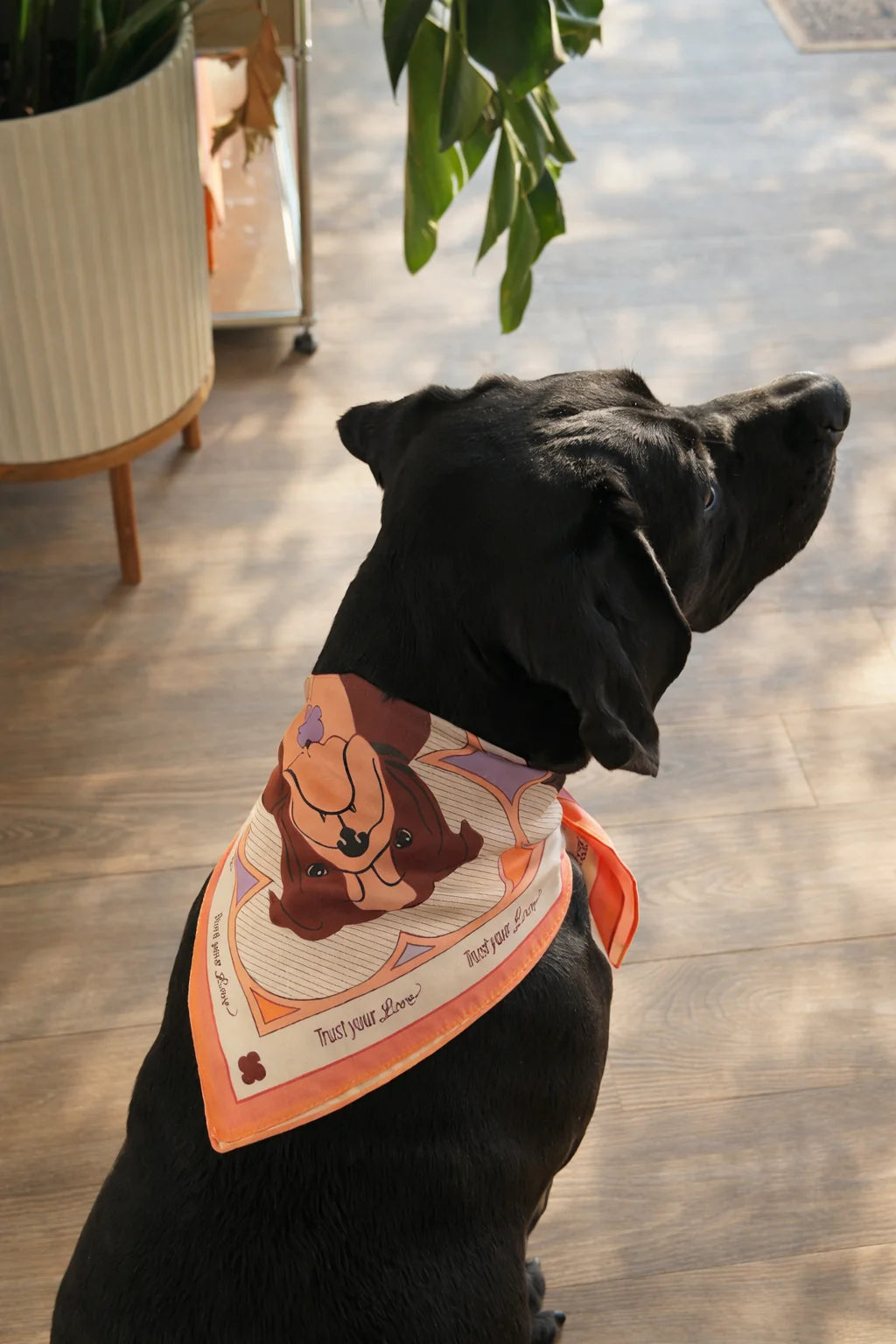 Stuck Soap Signature Scarf - Burnt Orange