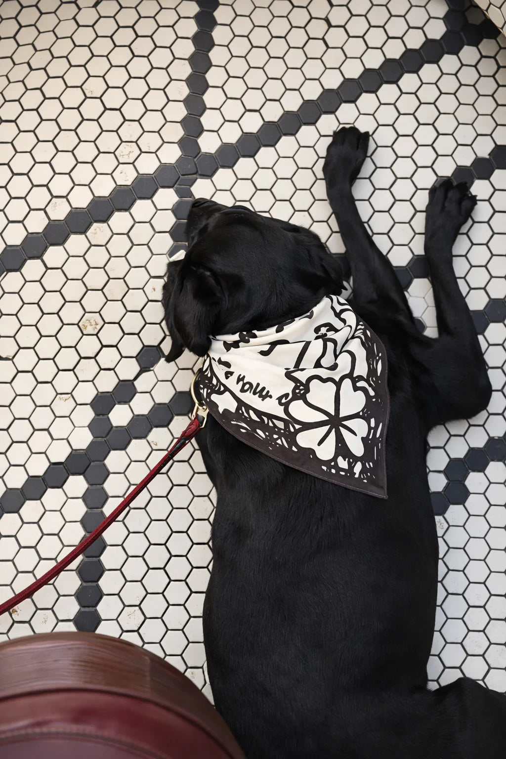 Stuck Soap Signature Scarf - Mono Ink
