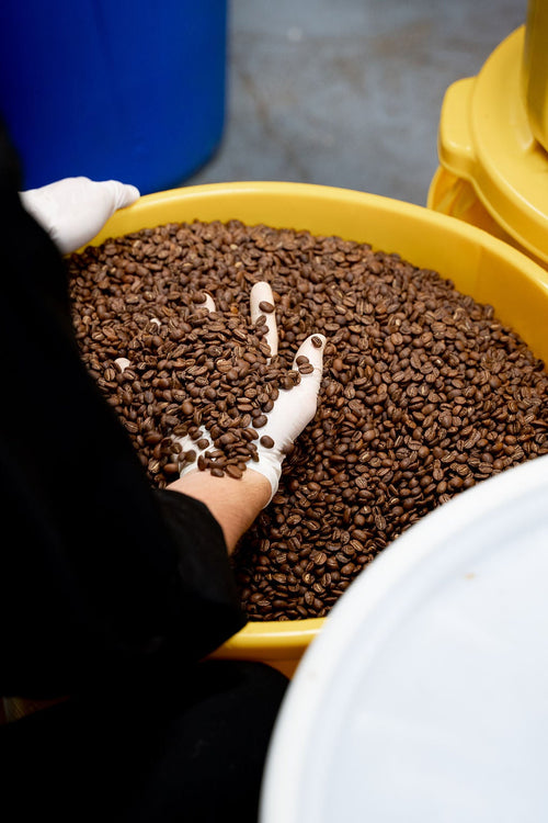 Brazil Barinas Natural Topazio — Loquat Coffee