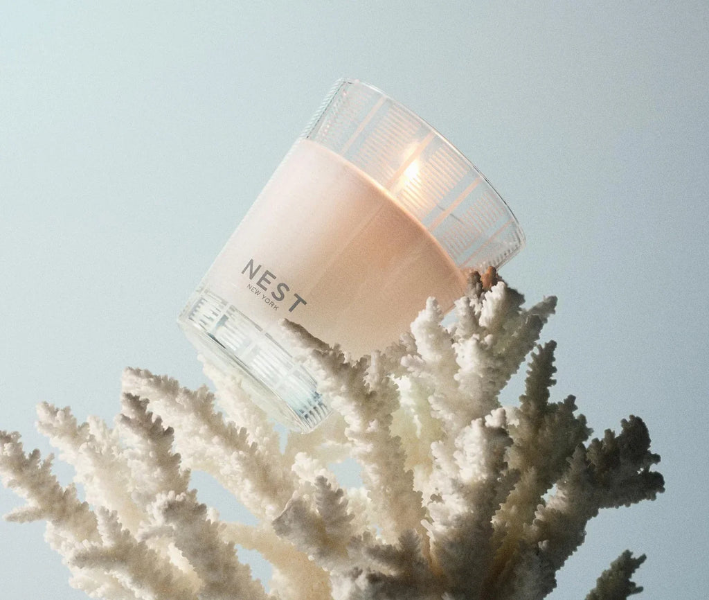 NEST New York Classic Candle 8.1oz - Ocean Mist & Sea Salt
