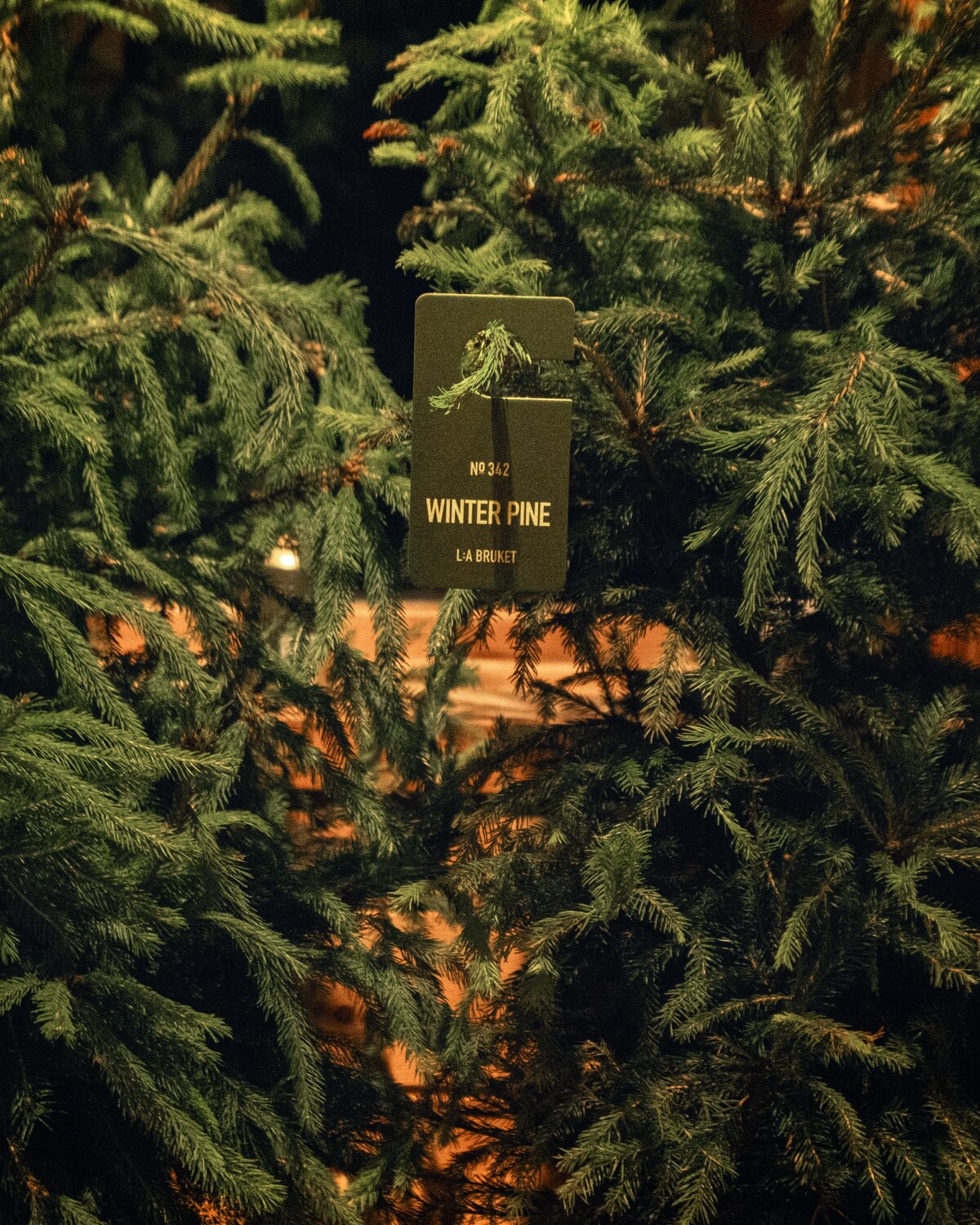 L:A BRUKET Winter Pine fragrance tag with candle