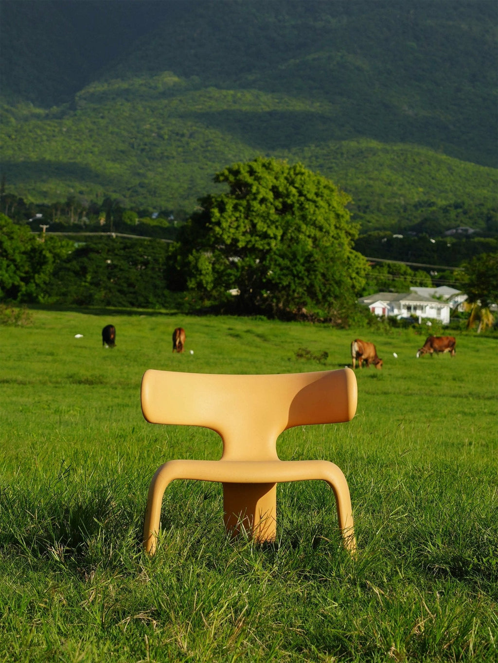 Limbo Chair™