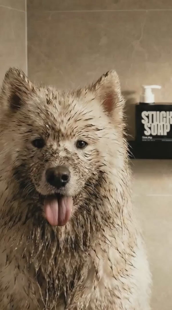 STUCK SOAP Silent Grove Dog Shampoo - 500 ml